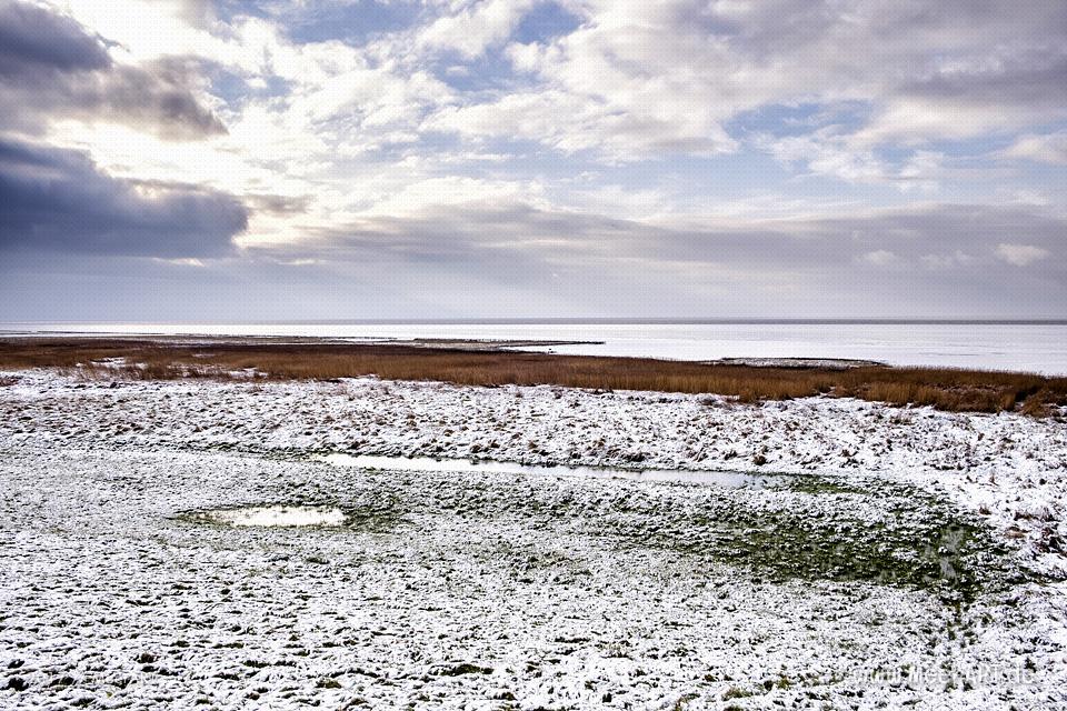Das EMMERLEV KLEV in Dänemark ist eine der wenigen Steilküsten an der Nordsee // Foto: Ralph Kerpa