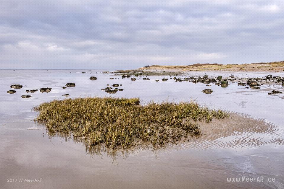 Strandabschnitt an der Nordsee bei Hjerpsted in Dänemark // Foto: Ralph Kerpa