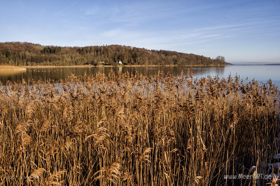 Die Siedlung Wassersleben an der deutsch-dänischen Grenze nördlich von Flensburg // Foto: Ralph Kerpa