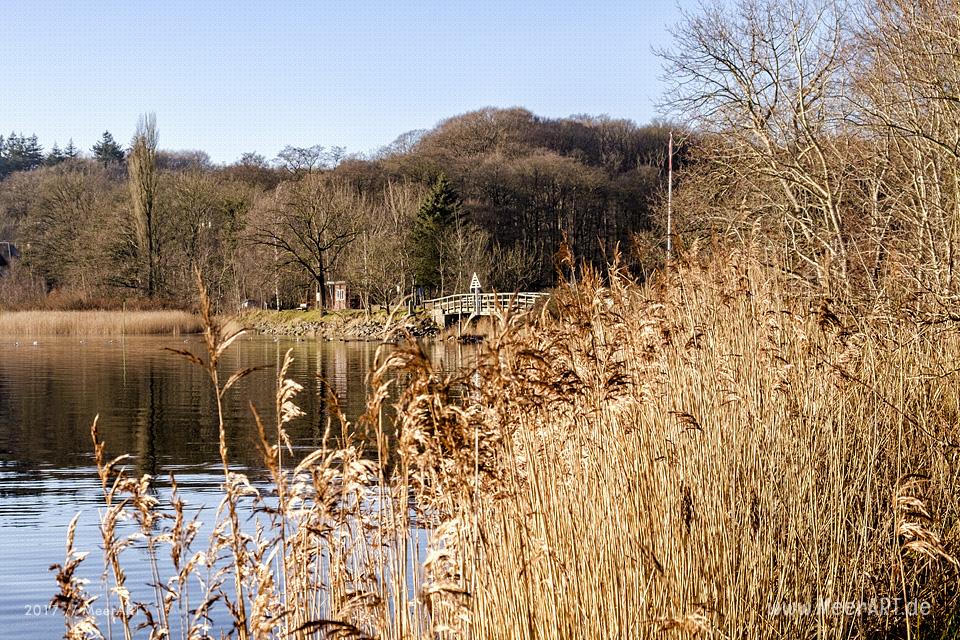 Der Gendarmenpfad an der deutsch-dänischen Grenze entlang der Flensburger Förde // Foto: Ralph Kerpa