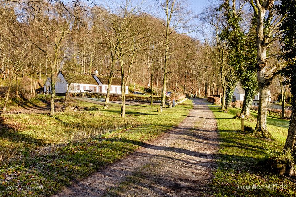 Der Gendarmenpfad an der deutsch-dänischen Grenze entlang der Flensburger Förde // Foto: Ralph Kerpa