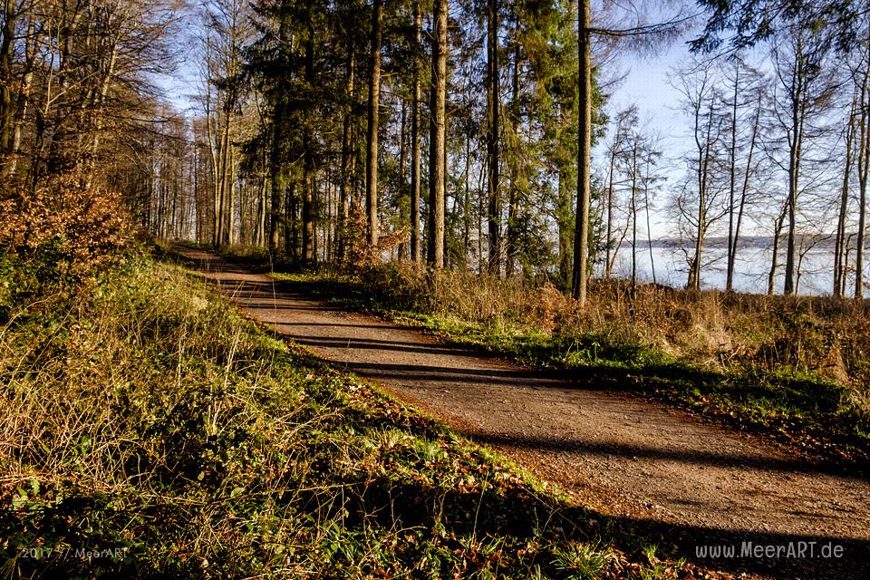 Der Gendarmenpfad an der deutsch-dänischen Grenze entlang der Flensburger Förde // Foto: Ralph Kerpa