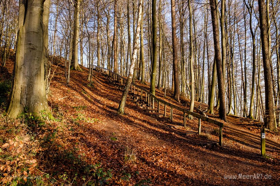 Der Gendarmenpfad an der deutsch-dänischen Grenze entlang der Flensburger Förde // Foto: Ralph Kerpa