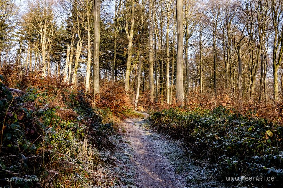 Der Gendarmenpfad an der deutsch-dänischen Grenze entlang der Flensburger Förde // Foto: Ralph Kerpa