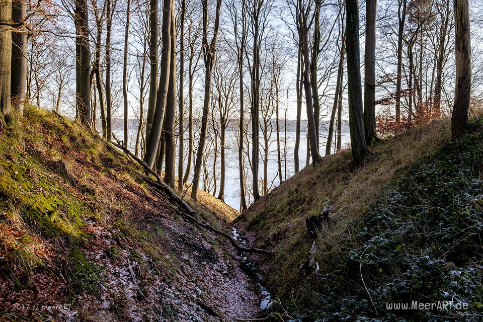 Der Gendarmenpfad an der deutsch-dänischen Grenze entlang der Flensburger Förde // Foto: Ralph Kerpa
