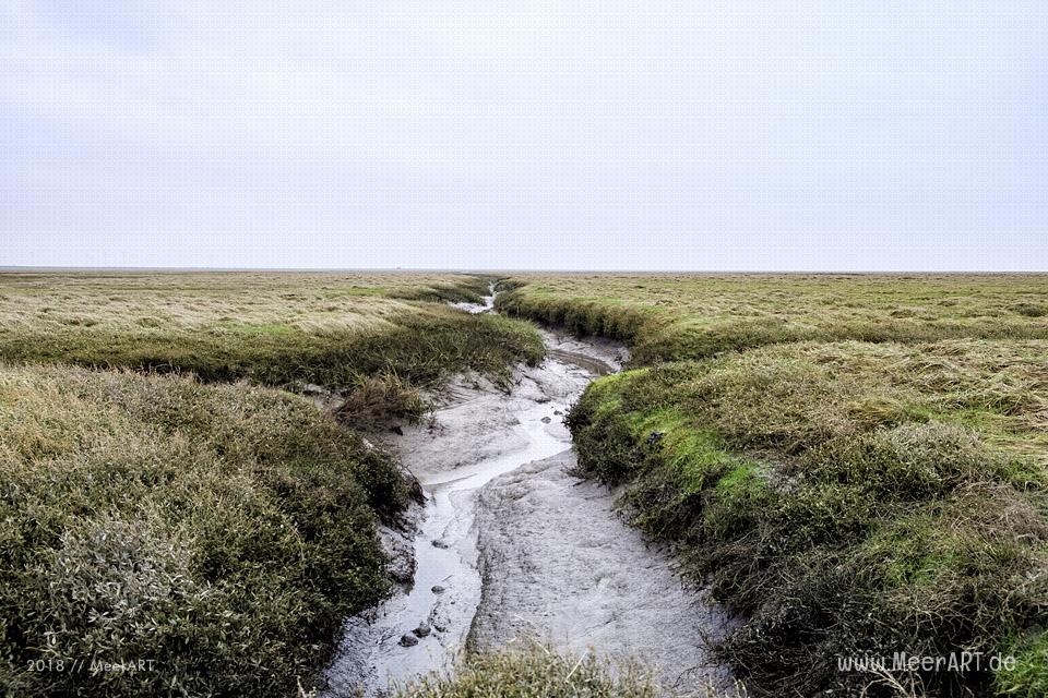 Besuch der Hamburger Hallig in der Wintersaison // Foto: Ralph Kerpa