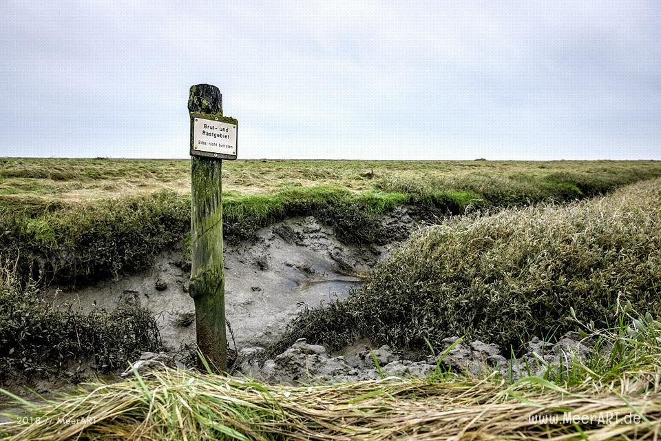 Besuch der Hamburger Hallig in der Wintersaison // Foto: Ralph Kerpa