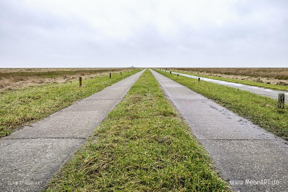 Besuch der Hamburger Hallig in der Wintersaison // Foto: Ralph Kerpa
