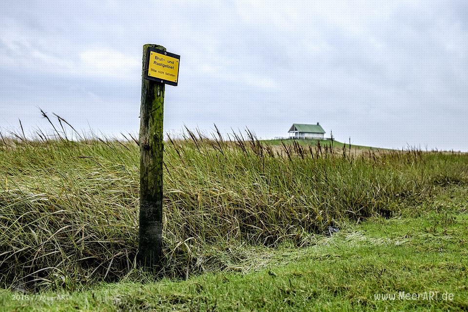 Besuch der Hamburger Hallig in der Wintersaison // Foto: Ralph Kerpa