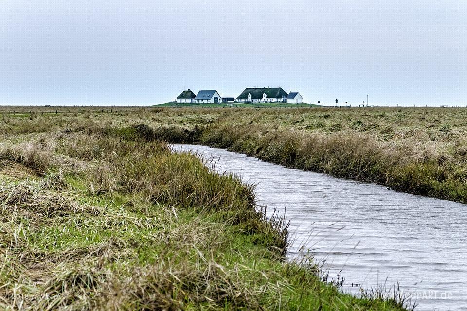 Besuch der Hamburger Hallig in der Wintersaison // Foto: Ralph Kerpa