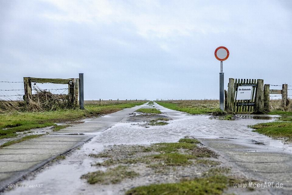 Besuch der Hamburger Hallig in der Wintersaison // Foto: Ralph Kerpa