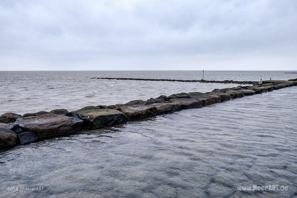 Besuch der Hamburger Hallig in der Wintersaison // Foto: Ralph Kerpa