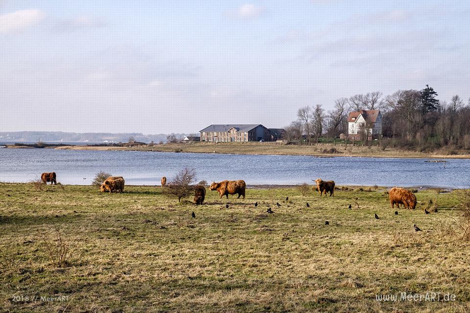 Ein sonniger Nachmittag auf der Halbinsel Holnis in der Flensburger Förde // Foto: Ralph Kerpa