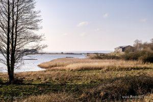 Ein sonniger Nachmittag auf der Halbinsel Holnis in der Flensburger Förde // Foto: Ralph Kerpa