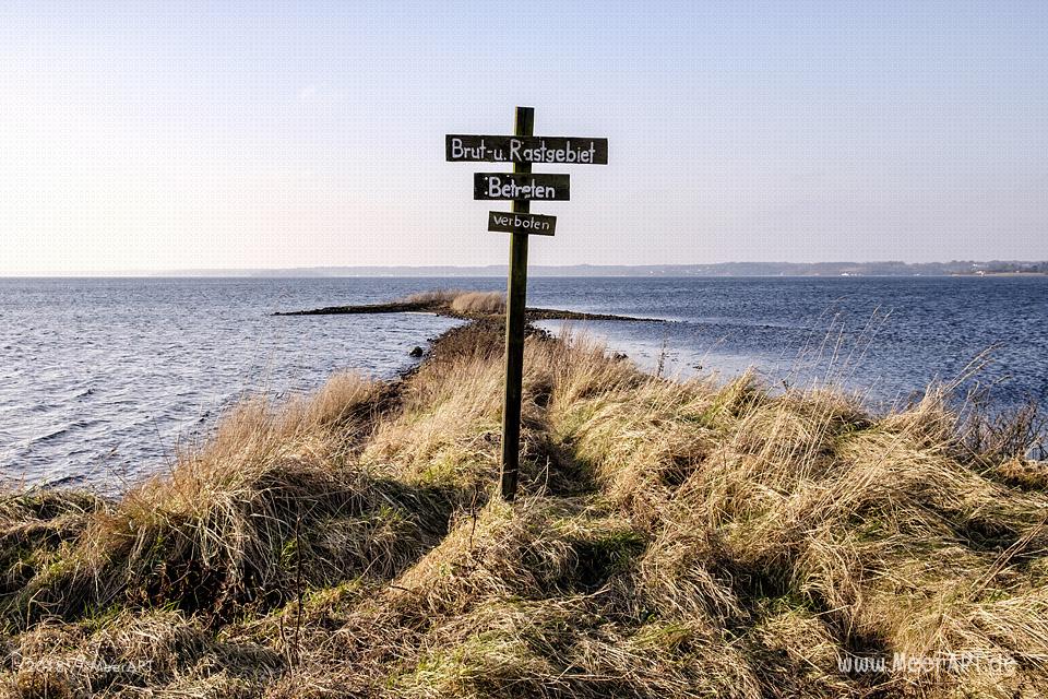 Ein sonniger Nachmittag auf der Halbinsel Holnis in der Flensburger Förde // Foto: Ralph Kerpa