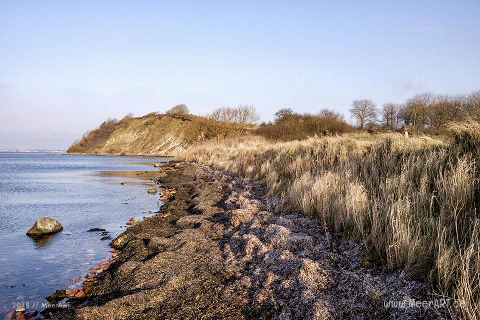 Holnis: eisiger Wind und flauschige Fellnasen - MeerART