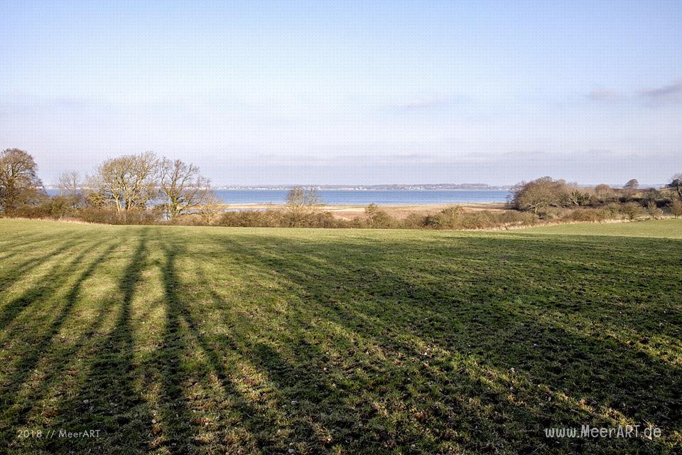 Ein sonniger Nachmittag auf der Halbinsel Holnis in der Flensburger Förde // Foto: Ralph Kerpa