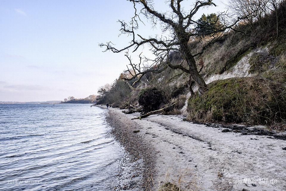 Ein sonniger Nachmittag auf der Halbinsel Holnis in der Flensburger Förde // Foto: Ralph Kerpa