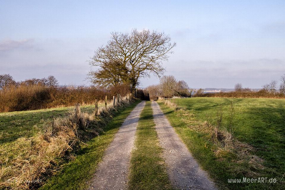 Ein sonniger Nachmittag auf der Halbinsel Holnis in der Flensburger Förde // Foto: Ralph Kerpa