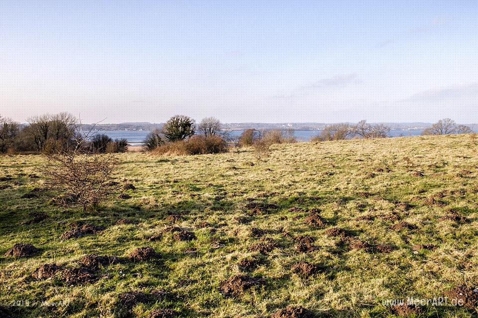 Ein sonniger Nachmittag auf der Halbinsel Holnis in der Flensburger Förde // Foto: Ralph Kerpa