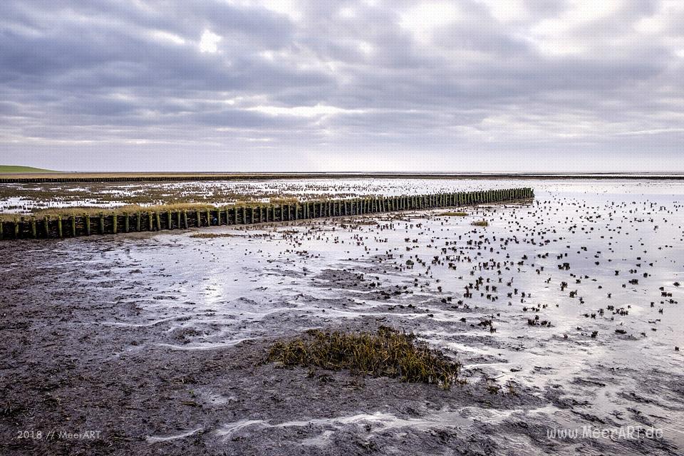Küstenabschnitt an der Nordsee zwischen Ockholm und Schlüttsiel // Foto: Ralph Kerpa