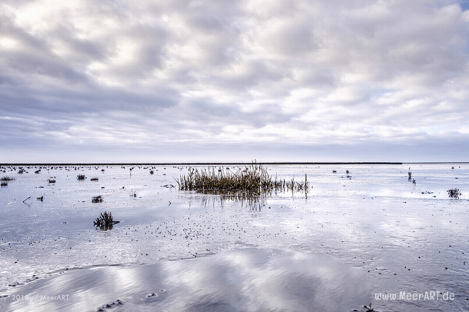 Küstenabschnitt an der Nordsee zwischen Ockholm und Schlüttsiel // Foto: Ralph Kerpa