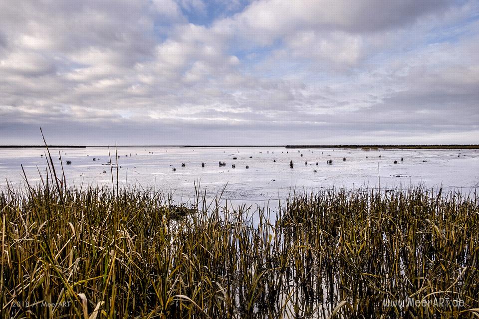 Küstenabschnitt an der Nordsee zwischen Ockholm und Schlüttsiel // Foto: Ralph Kerpa