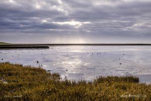 Küstenabschnitt an der Nordsee zwischen Ockholm und Schlüttsiel // Foto: Ralph Kerpa