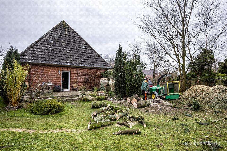 Baumfällarbeiten in Garten // Foto: MeerART
