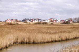 Dagebüll mit seinem Fährhafen an der Nordseeküste in Nordfriesland // Foto: Ralph Kerpa