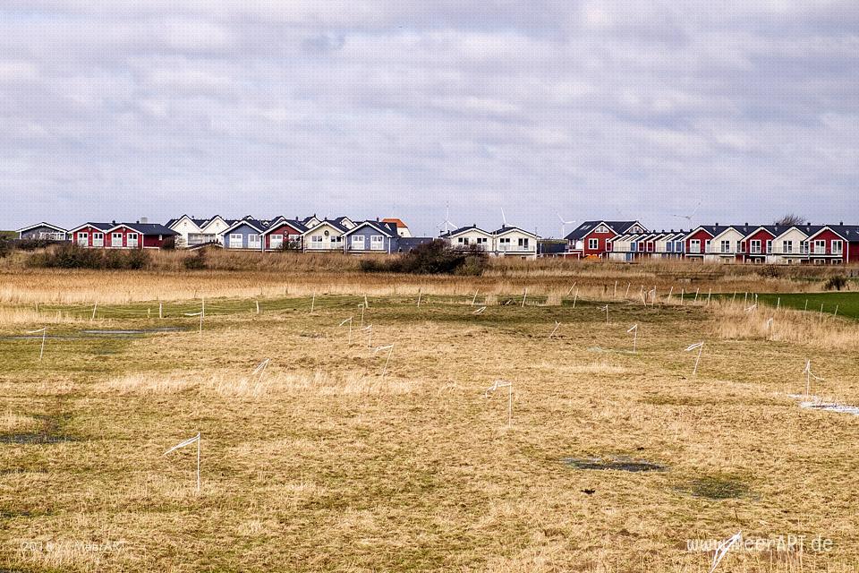 Dagebüll mit seinem Fährhafen an der Nordseeküste in Nordfriesland // Foto: Ralph Kerpa