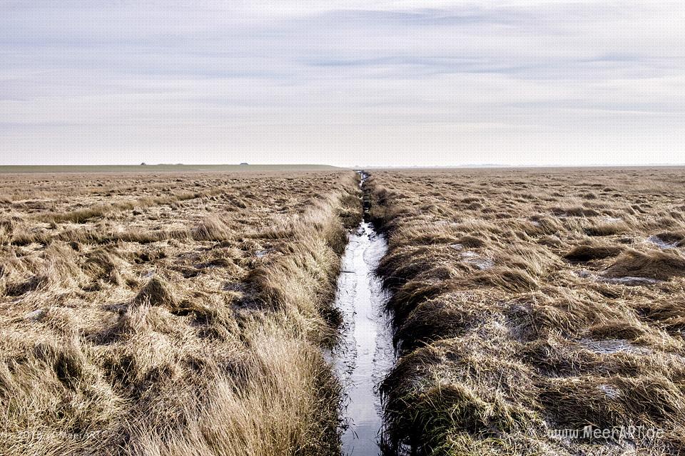 Ein schöner Wintertag auf der Halbinsel Eiderstedt in Westerhever // Foto: Ralph Kerpa