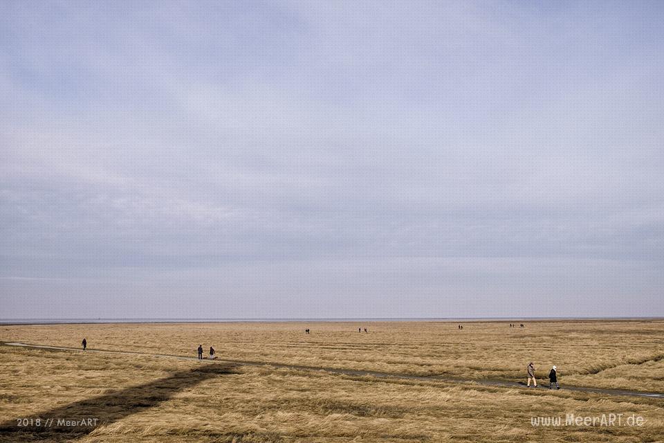 Ein schöner Wintertag auf der Halbinsel Eiderstedt in Westerhever // Foto: Ralph Kerpa