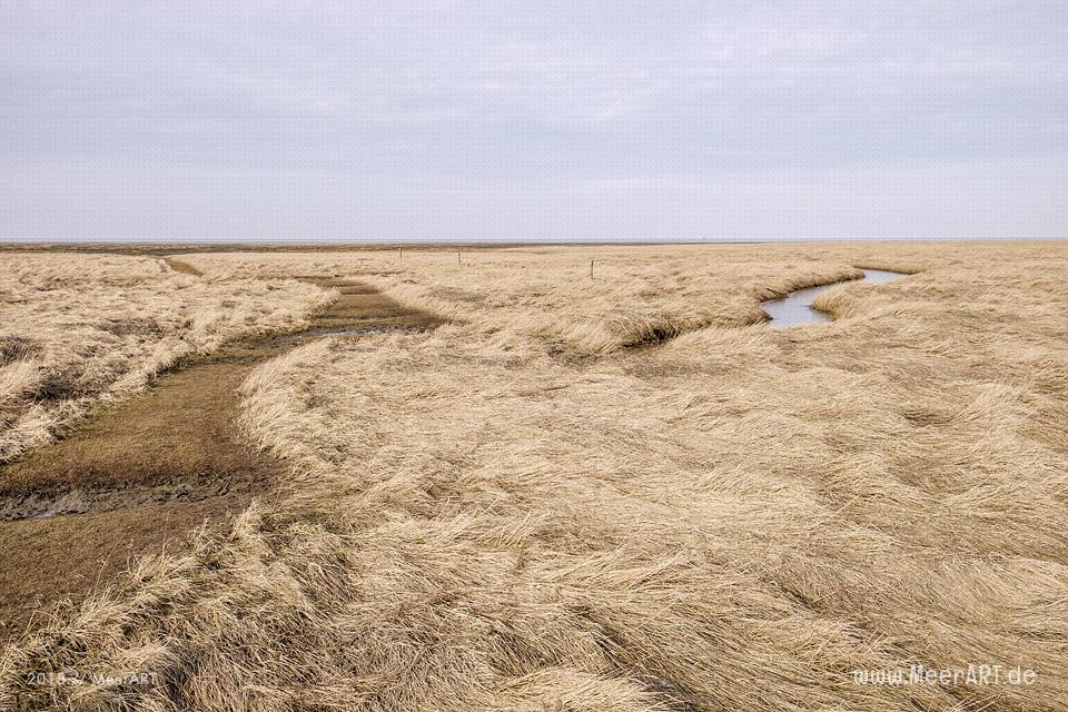 Ein schöner Wintertag auf der Halbinsel Eiderstedt in Westerhever // Foto: Ralph Kerpa