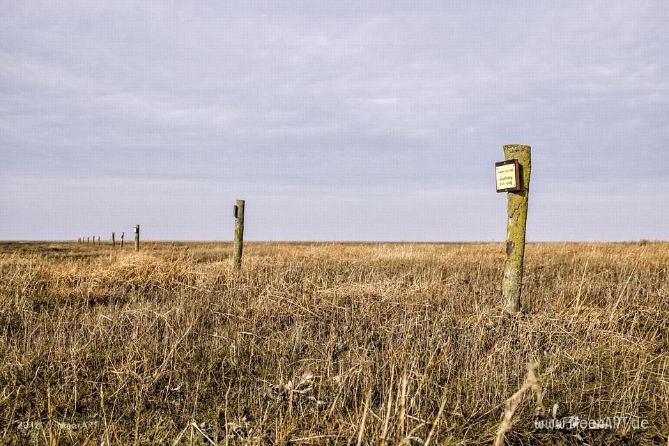 Ein schöner Wintertag auf der Halbinsel Eiderstedt in Westerhever // Foto: Ralph Kerpa