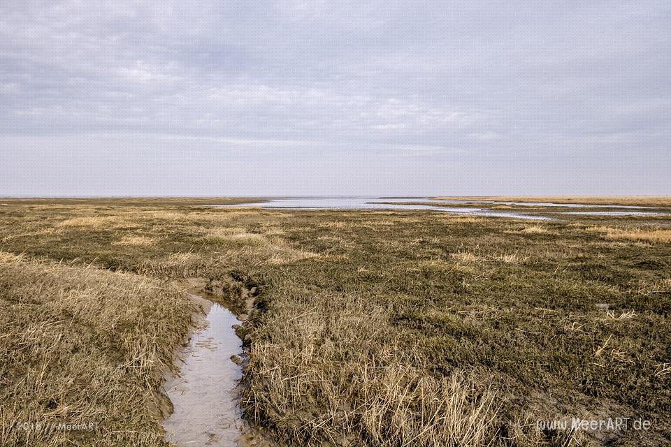 Ein schöner Wintertag auf der Halbinsel Eiderstedt in Westerhever // Foto: Ralph Kerpa
