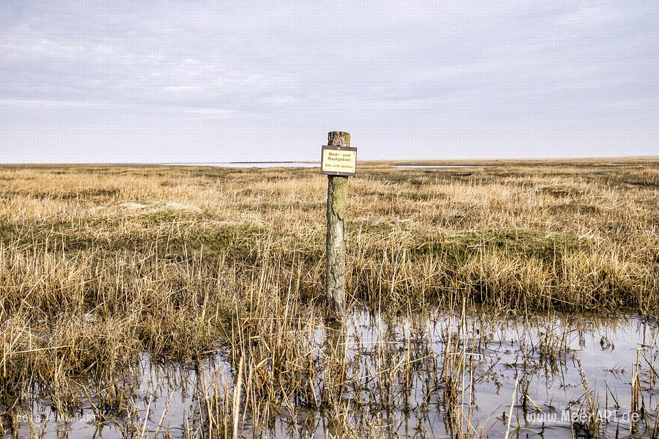 Ein schöner Wintertag auf der Halbinsel Eiderstedt in Westerhever // Foto: Ralph Kerpa