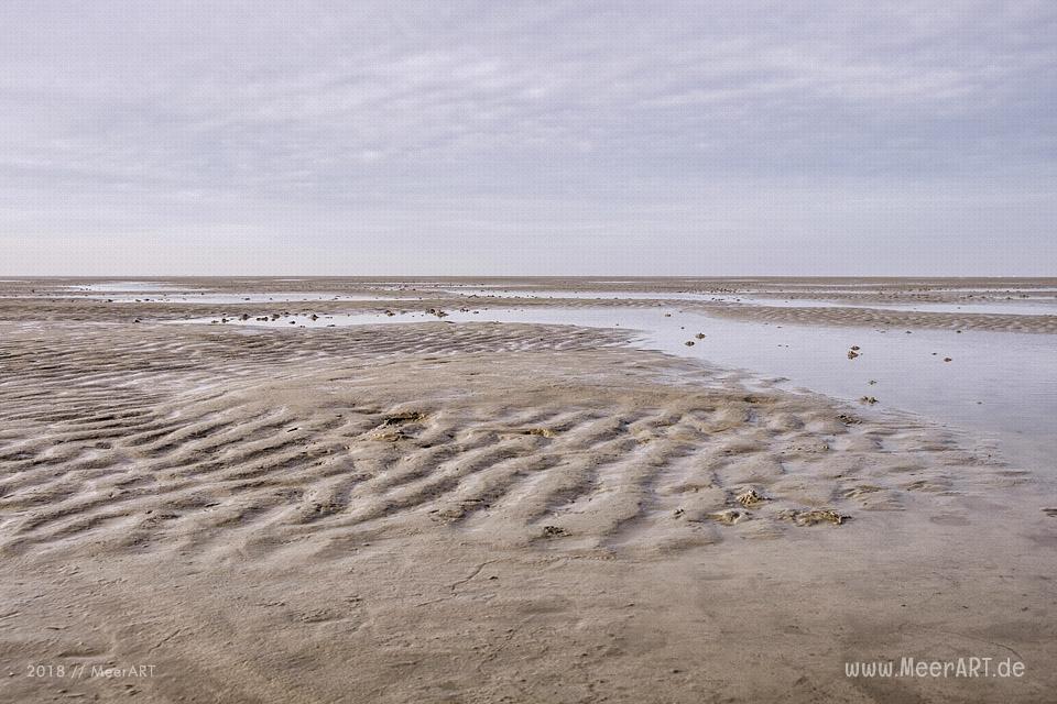 Ein schöner Wintertag auf der Halbinsel Eiderstedt in Westerhever // Foto: Ralph Kerpa