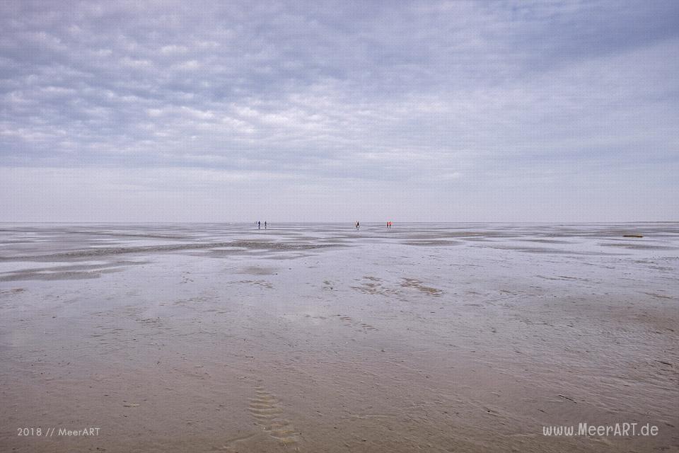 Ein schöner Wintertag auf der Halbinsel Eiderstedt in Westerhever // Foto: Ralph Kerpa