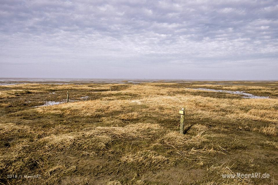 Ein schöner Wintertag auf der Halbinsel Eiderstedt in Westerhever // Foto: Ralph Kerpa