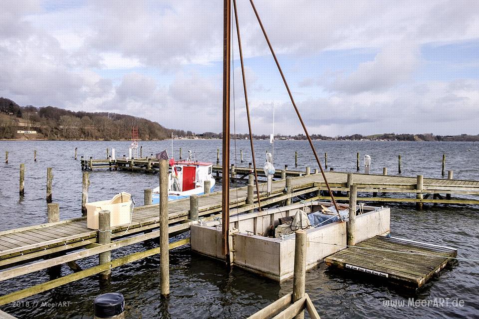 Genner Strand an der Ostseeküste zwischen Apenrade und Hadersleben // Foto: Ralph Kerpa