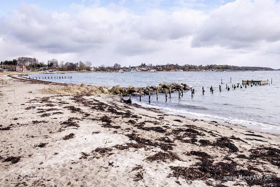 Genner Strand an der Ostseeküste zwischen Apenrade und Hadersleben // Foto: Ralph Kerpa