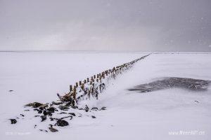 Wintereinbruch am Fährhafen Schlüttsiel in Nordfriesland // Foto: Ralph Kerpa