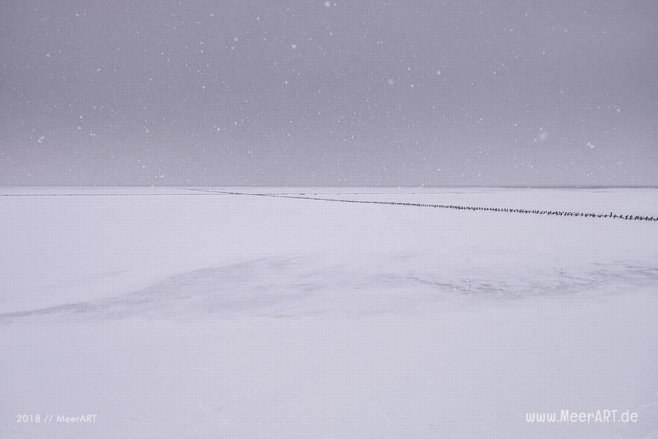 Wintereinbruch am Fährhafen Schlüttsiel in Nordfriesland // Foto: Ralph Kerpa