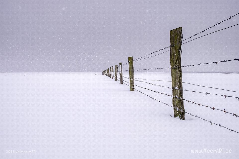 Wintereinbruch am Fährhafen Schlüttsiel in Nordfriesland // Foto: Ralph Kerpa