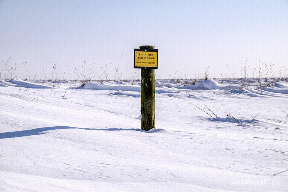 Winterlandschaft auf der Hamburger Hallig // Foto: MeerART