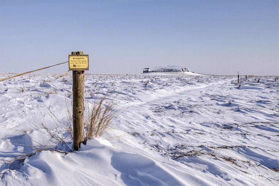 Winterlandschaft auf der Hamburger Hallig // Foto: Ralph Kerpa