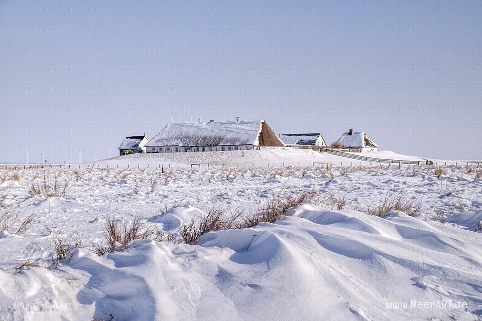 Winterlandschaft auf der Hamburger Hallig // Foto: Ralph Kerpa