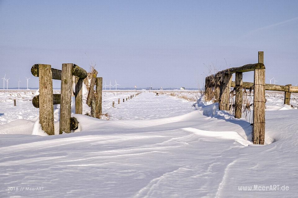 Winterlandschaft auf der Hamburger Hallig // Foto: MeerART