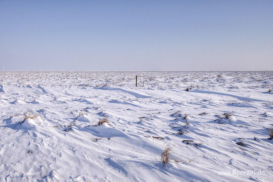 Winterlandschaft auf der Hamburger Hallig // Foto: Ralph Kerpa
